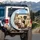 Labrador Retrievers Car Ride Sunny Landscape - Pet Owner Gift for Dog Parents Spare Tire Cover - 3