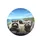 Raccoon Family Coastal Highway Drive - Road Trip Essential for Wildlife Lover Spare Tire Cover - 4