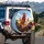 Rooster In Sunglasses, Hen, Chick Family Driving Car - Road Trip Adventure Gift Spare Tire Cover - 3