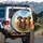 Lifelike Dachshund Dogs Blue Sky Golden Field - Dachshund Lover Gift Spare Tire Cover - 3