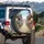 Japanese Street Scene Torii Gate Shophouse Lanterns - Travel Enthusiast Gift Spare Tire Cover - 3