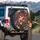 Large White Red Golden Koi Fish Cherry Blossom Green Leaf Water Swirls - Wildlife Lover Gift Spare Tire Cover - 3
