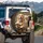 Golden Retriever Dogs Driving Car - Dog Lover Vehicle Gift Spare Tire Cover - 3