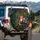 Forest Fox Badger Robin Berry Wildflower - Wildlife Lover Gift Spare Tire Cover - 3