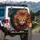 Mosaic Cat Face Autumn Leaves Wildlife Lover Gift for Cat Lover Spare Tire Cover - 3