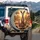 Highly Realistic Kangaroos Outback Road Vista - Wildlife Lover Gift for Travelers Spare Tire Cover - 3