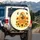 Golden Honeycomb Dripping Honey Bee Sunflowers - Sweet Home Decor Gift for Garden Lover Spare Tire Cover - 3