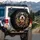 Comically Surprised Shaggy Dog Spaghetti Meatball Pasta Dinner - Dog Food Lover Gift Spare Tire Cover - 3