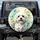 White Dog Blossom Leaves Explosion - Everyday Home Decor for Dog Lovers Spare Tire Cover - 1