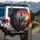Majestic White Tiger Head Wild Jungle Sunset - Outdoor Adventure Gift Spare Tire Cover - 3
