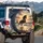 Black Unicorn Golden Hour Ocean Seascape Ship - Wildlife Ocean Lover Gift Spare Tire Cover - 3