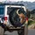 Black Ginger Cats Golden Moon Stars Celestial Night Sky - Romantic Cat Lover Gift Spare Tire Cover - 3