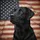 Majestic Black Labrador Retriever American Flag - Patriotic Display for Dog Lovers Spare Tire Cover - 6