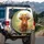 Highland Cow Floral Crown Wildflower Meadow - Farmhouse Home Decor Gift for Cow Lover Spare Tire Cover - 3