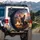 Brindle French Bulldog Puppy Golden Hay Barn Village Moon - Farmhouse Home Decor Gift Spare Tire Cover - 3