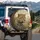 Majestic Realistic Leopard Amber Eyes Golden Fur Savanna - Nature Wildlife Lover Gift Spare Tire Cover - 3