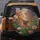 Peacock Butterfly Pink Bloom Garden Foliage - Wildlife Lover Gift Spare Tire Cover - 5