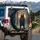 Magnificent Brown Bear Snowy Pine Forest Sunset - Wildlife Lover Gift Spare Tire Cover - 3