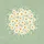 White Daisy Flowers Orange Center Sage Green Speckled Background - Garden Lover Gift Spare Tire Cover - 6