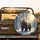 Brown Grizzly Bear Snow-Covered Pine Forest Golden Sunlight - Wildlife Lover Gift Spare Tire Cover - 2