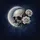 Cracked Skull Crescent Moon Pale Roses - Gothic Decor Gift Spare Tire Cover - 6