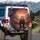 Grizzly Bear Road Autumn Trees Mountains Sunset - Wildlife Lover Gift Spare Tire Cover - 3