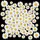 White Daisy Flowers Yellow Centers Black Background - Travel Essentials Spare Tire Cover - 6