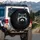 Raccoon Head Black White Fur Dark Forest Nocturnal Mist - Wildlife Lover Gift Spare Tire Cover - 3
