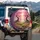 Spring Forest Cherry Blossom Trees Wildflower Meadow Sunbeams - Nature Lover Gift Spare Tire Cover - 3