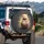 Smiling Cat with Closed Eyes Sailor Shirt Yarn Ball - Cat Lover Gift Spare Tire Cover - 3