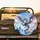 Fantasy Dragon Cherry Blossom Chinese Lanterns - Travel Essentials Spare Tire Cover - 2