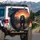 Black Bear Wilderness Sunset Road - Outdoor Adventure Gift Spare Tire Cover - 3