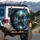 Grizzly Bear Reflective Pool Forest Moon Starry Night Wildflowers - Wildlife Lover Gift Spare Tire Cover - 3