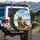 Grizzly Bear Lounging Beach Chair Tropical Scene - Wildlife Lover Gift Spare Tire Cover - 3
