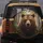 Brown Grizzly Bear Forest Wilderness - Wildlife Lover Gift for Bear Lovers Spare Tire Cover - 5