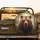 Brown Grizzly Bear Forest Wilderness - Wildlife Lover Gift for Bear Lovers Spare Tire Cover - 2