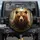 Brown Grizzly Bear Forest Wilderness - Wildlife Lover Gift for Bear Lovers Spare Tire Cover - 1
