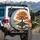 Gnarled Autumn Tree Lake Reflections Rocky Island - Outdoor Enthusiast Gift Spare Tire Cover - 3