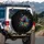 Scattered Paw Prints Cosmic Starlight Night Sky - Pet Lover Gift Spare Tire Cover - 3