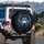 Husky Dog Blue Eyes Open Mouth Insect Dark Backdrop - Wildlife Lover Gift Spare Tire Cover - 3