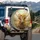 Highland Cow Sunflower Wreath - Farmhouse Home Decor Gift for Cow Lover Spare Tire Cover - 3