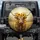 Highland Cow Sunflower Wreath - Farmhouse Home Decor Gift for Cow Lover Spare Tire Cover - 1