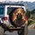 Samurai Warrior Kabuto Helmet Menpo Mask Fire Inferno - Home Decor Gift for Warrior Lover Spare Tire Cover - 3