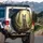 Majestic Wolf Deep Forest Moss Covered Trees Ground Golden Light - Wildlife Lover Gift Spare Tire Cover - 3