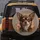 Small Brown Chihuahua Dog Portrait with Soulful Eyes - Dog Lover Vehicle Decor Gift Spare Tire Cover - 5