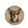 Small Brown Chihuahua Dog Portrait with Soulful Eyes - Dog Lover Vehicle Decor Gift Spare Tire Cover - 4