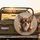 Small Brown Chihuahua Dog Portrait with Soulful Eyes - Dog Lover Vehicle Decor Gift Spare Tire Cover - 2