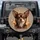 Small Brown Chihuahua Dog Portrait with Soulful Eyes - Dog Lover Vehicle Decor Gift Spare Tire Cover - 1