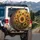 Sunflowers Bouquet Late Summer Field Farmhouse Home Decor Garden Lover Gift Spare Tire Cover - 3