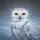 Majestic Snowy Owl Orange Eyes Arctic Winter - Wildlife Lover Gift for Owl Lover Spare Tire Cover - 6
